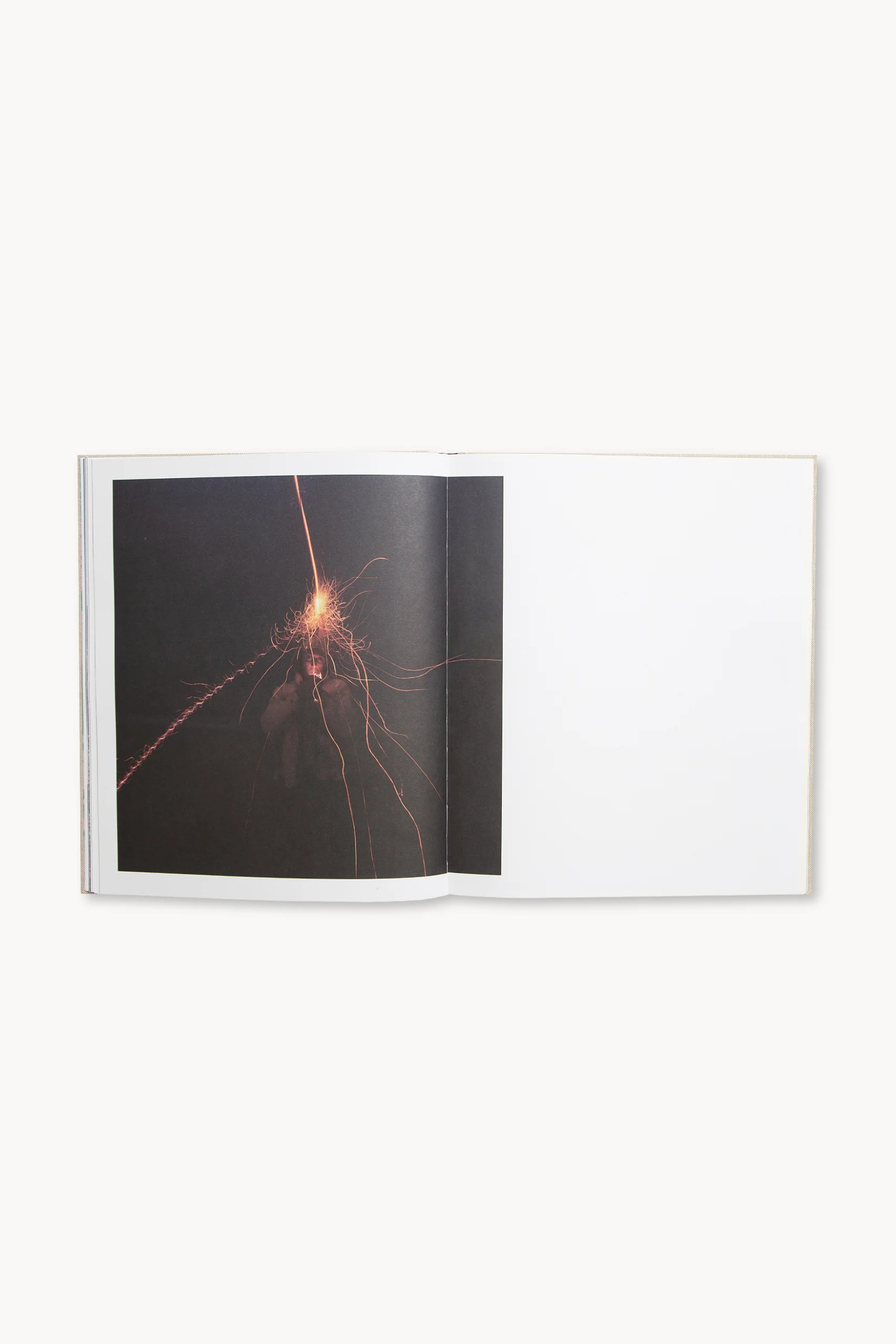 Gnarly - Image 11