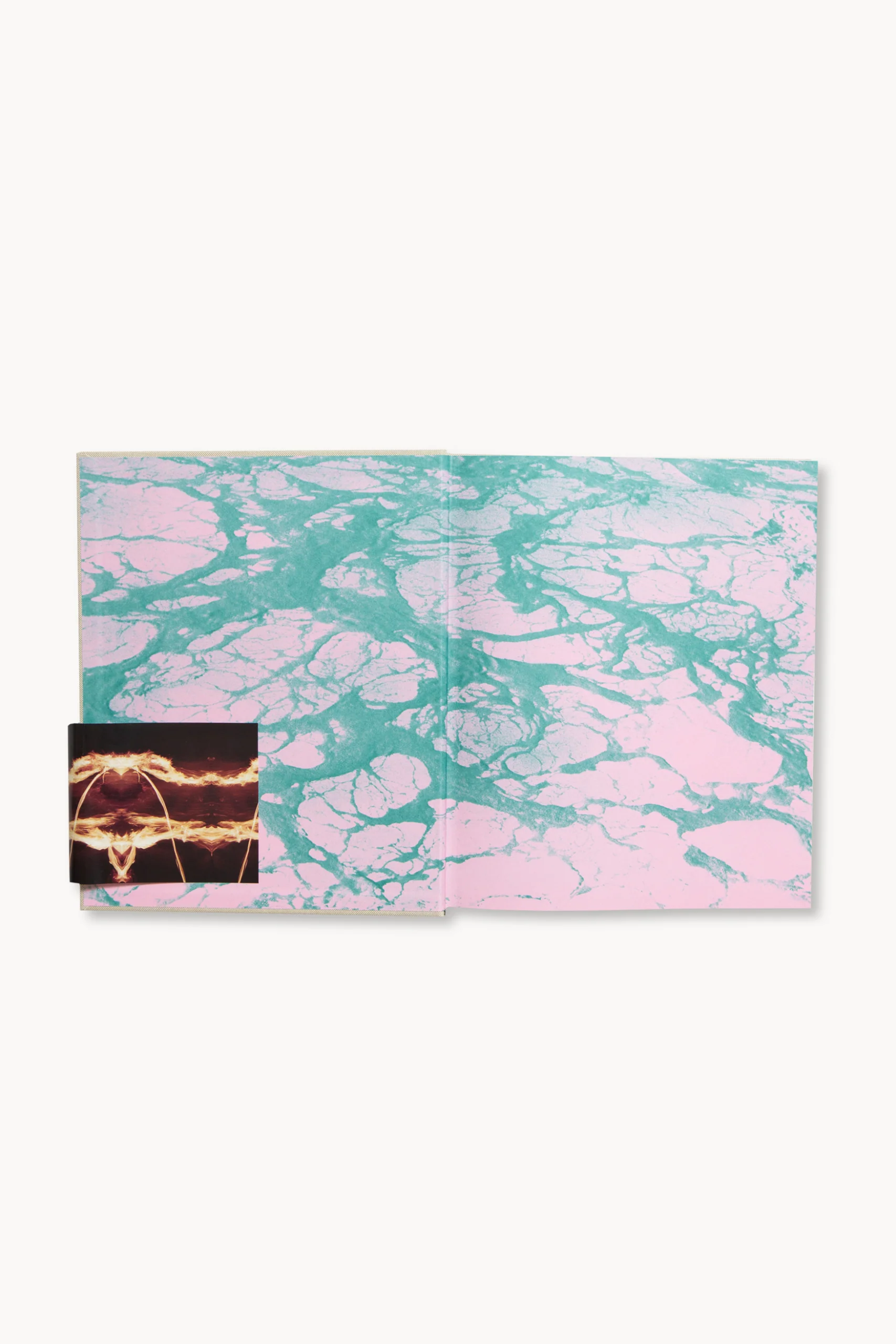 Gnarly - Image 4