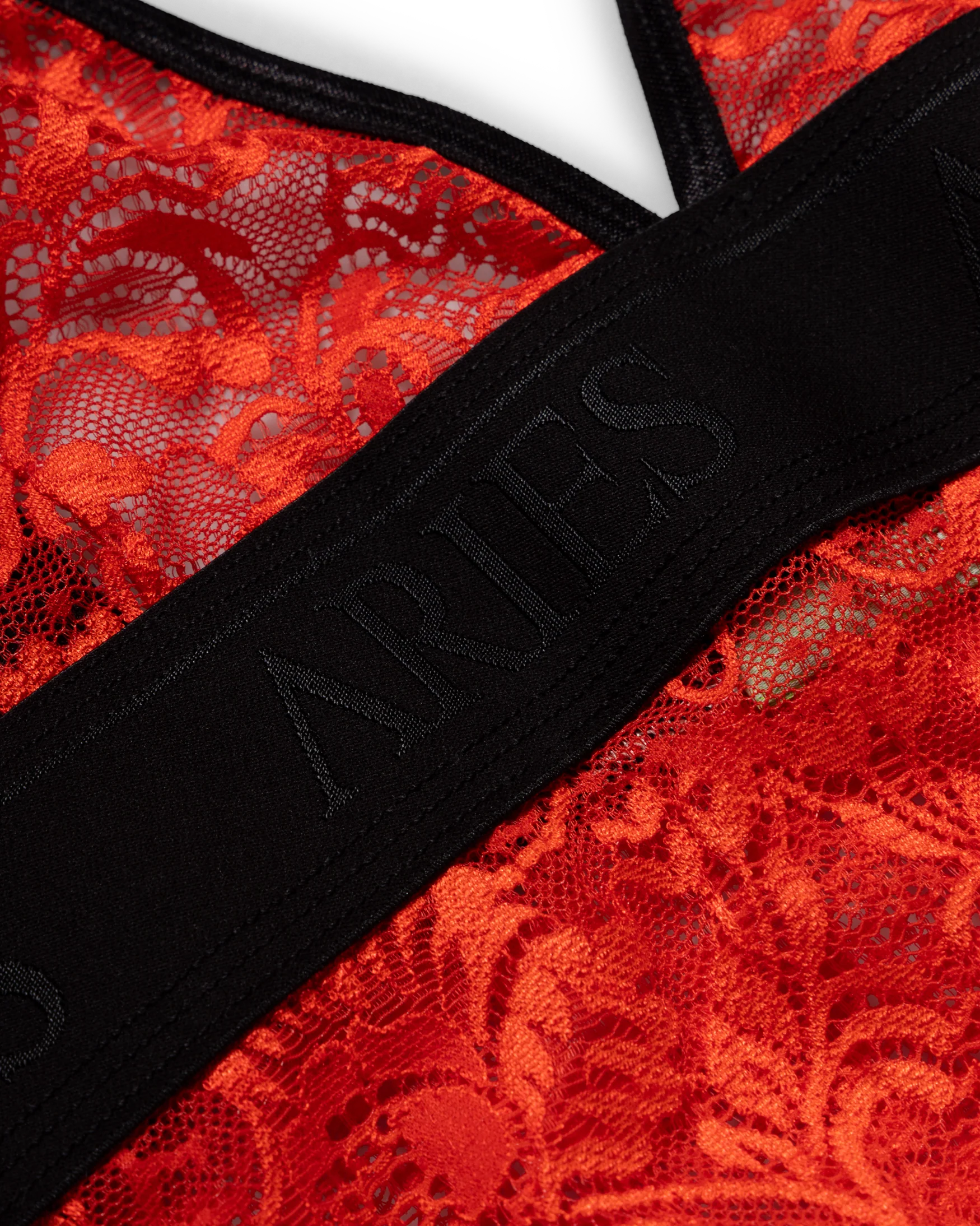 Fleur Lace Body - Image 3