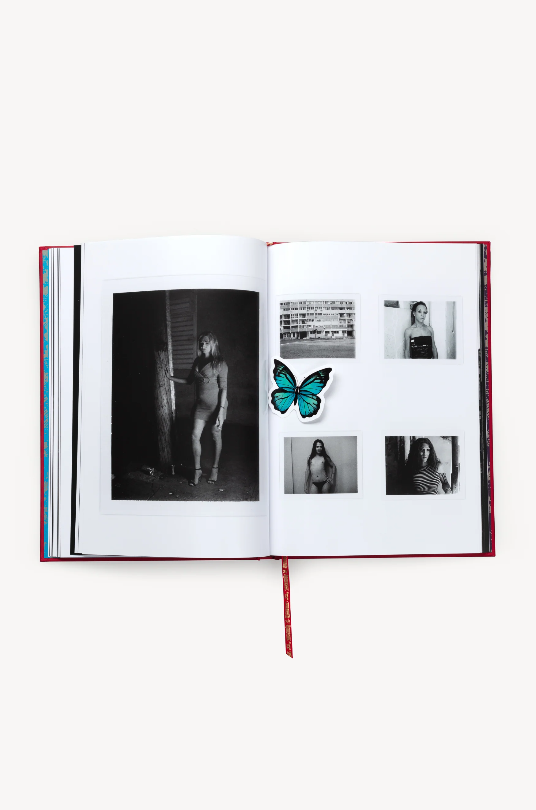 Butterfly Book - Image 10