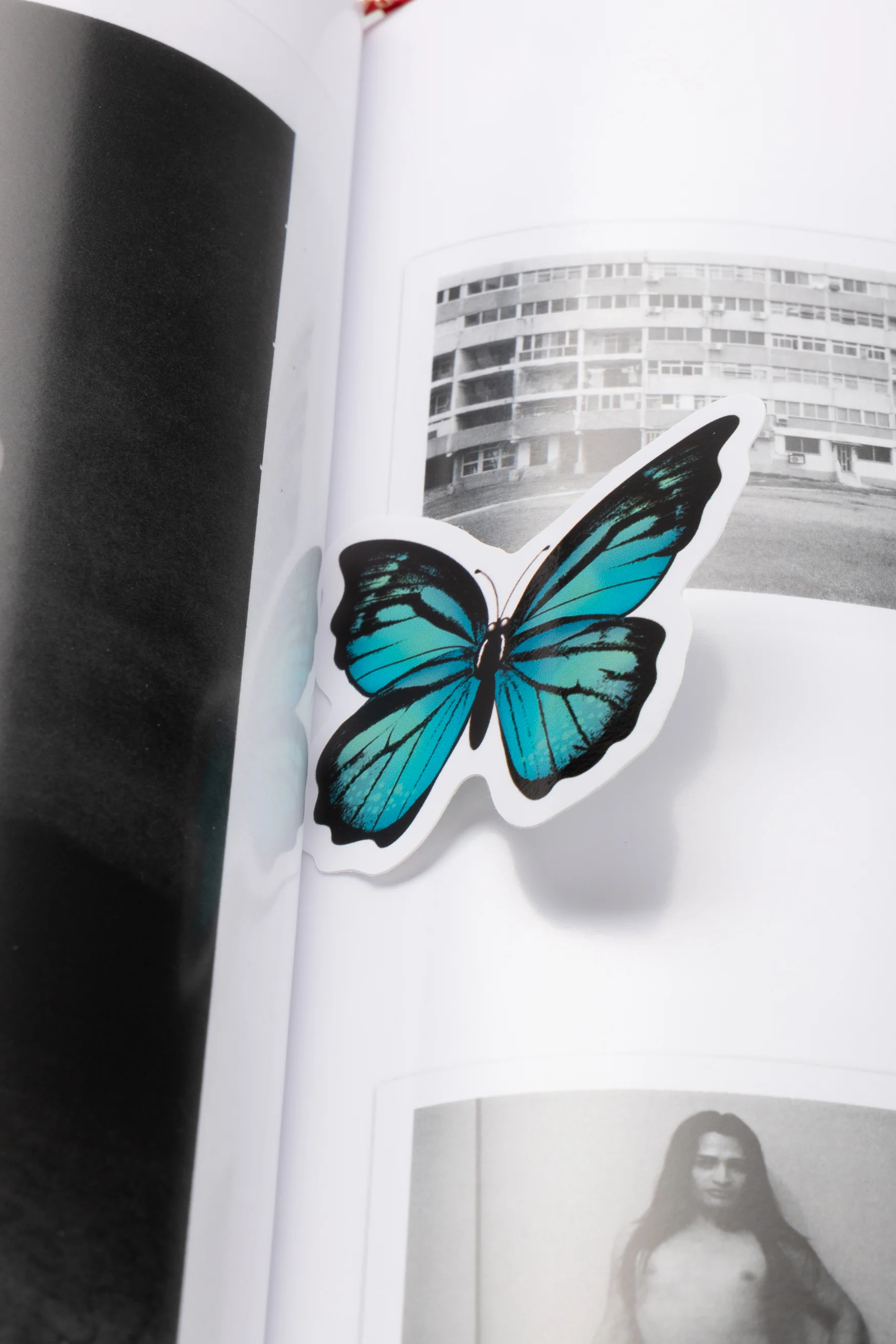 Butterfly Book - Image 11