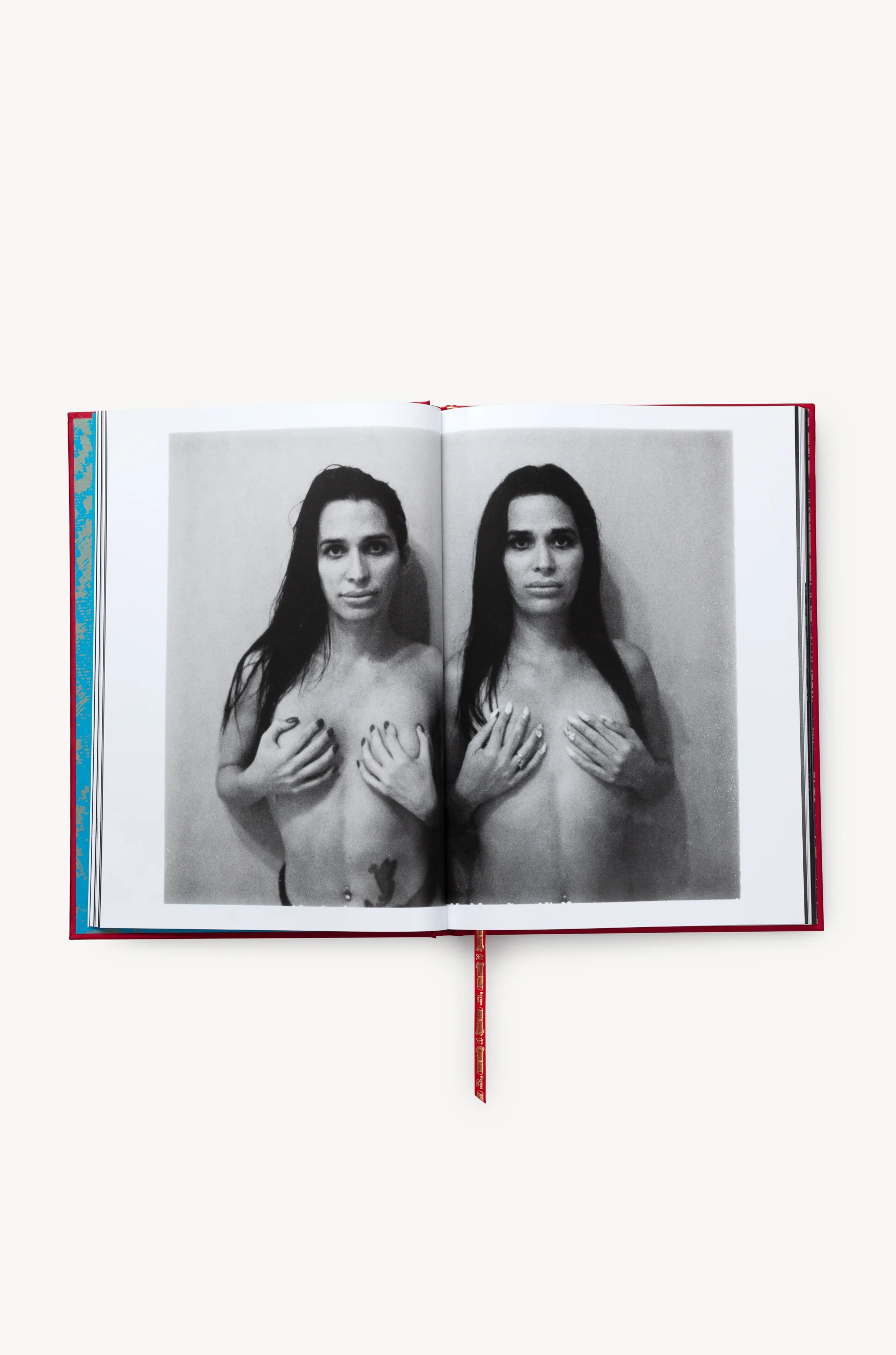 Butterfly Book - Image 12