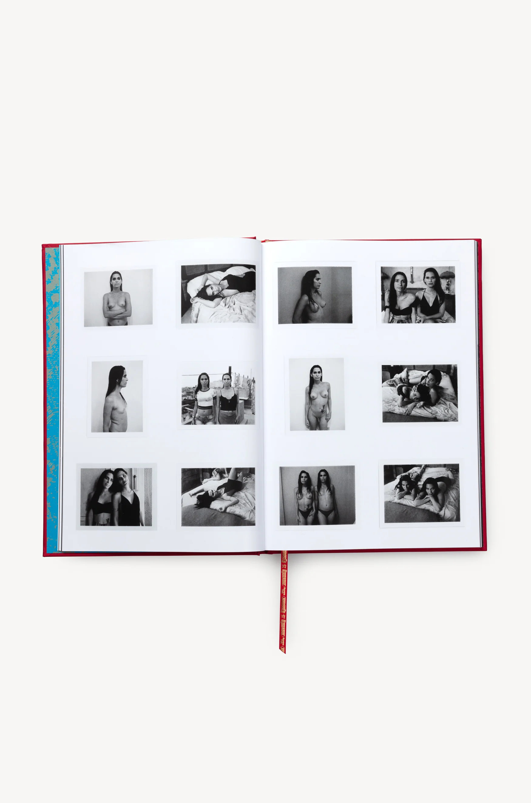 Butterfly Book - Image 15
