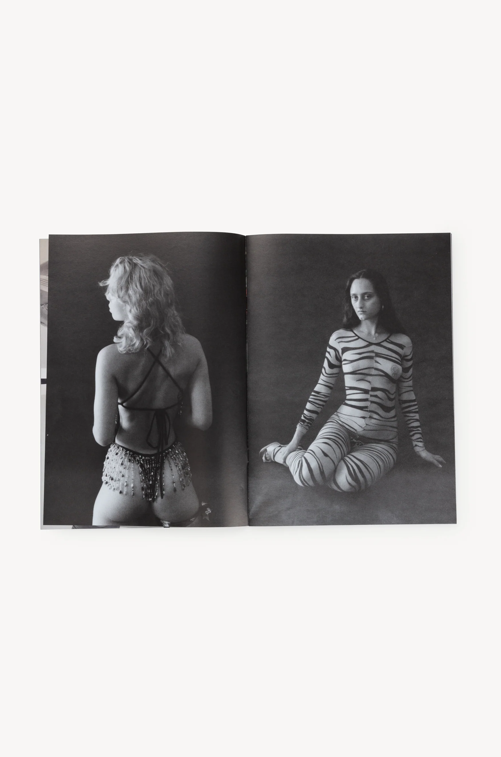 Butterfly Book - Image 22