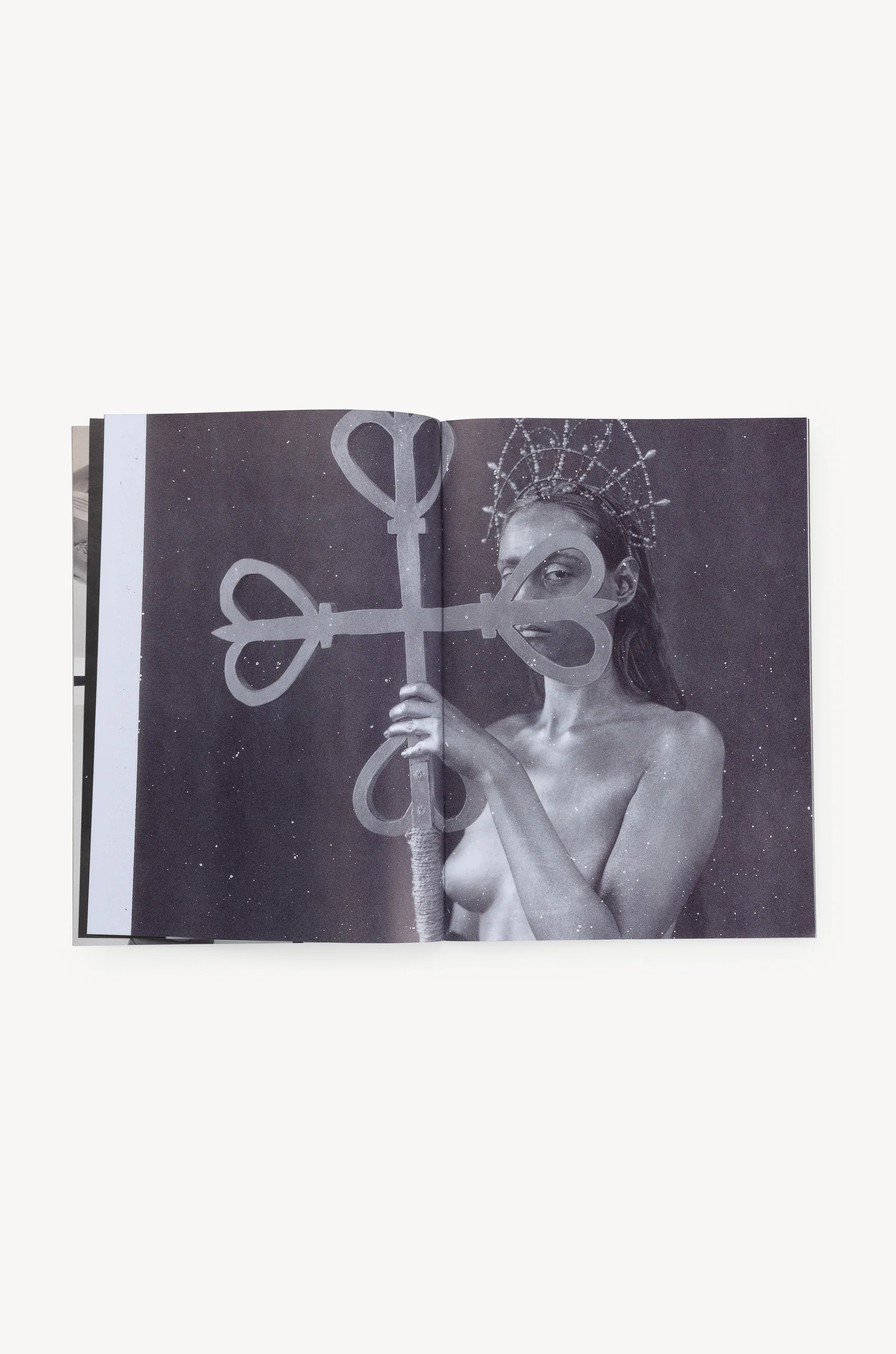 Butterfly Book - Image 23