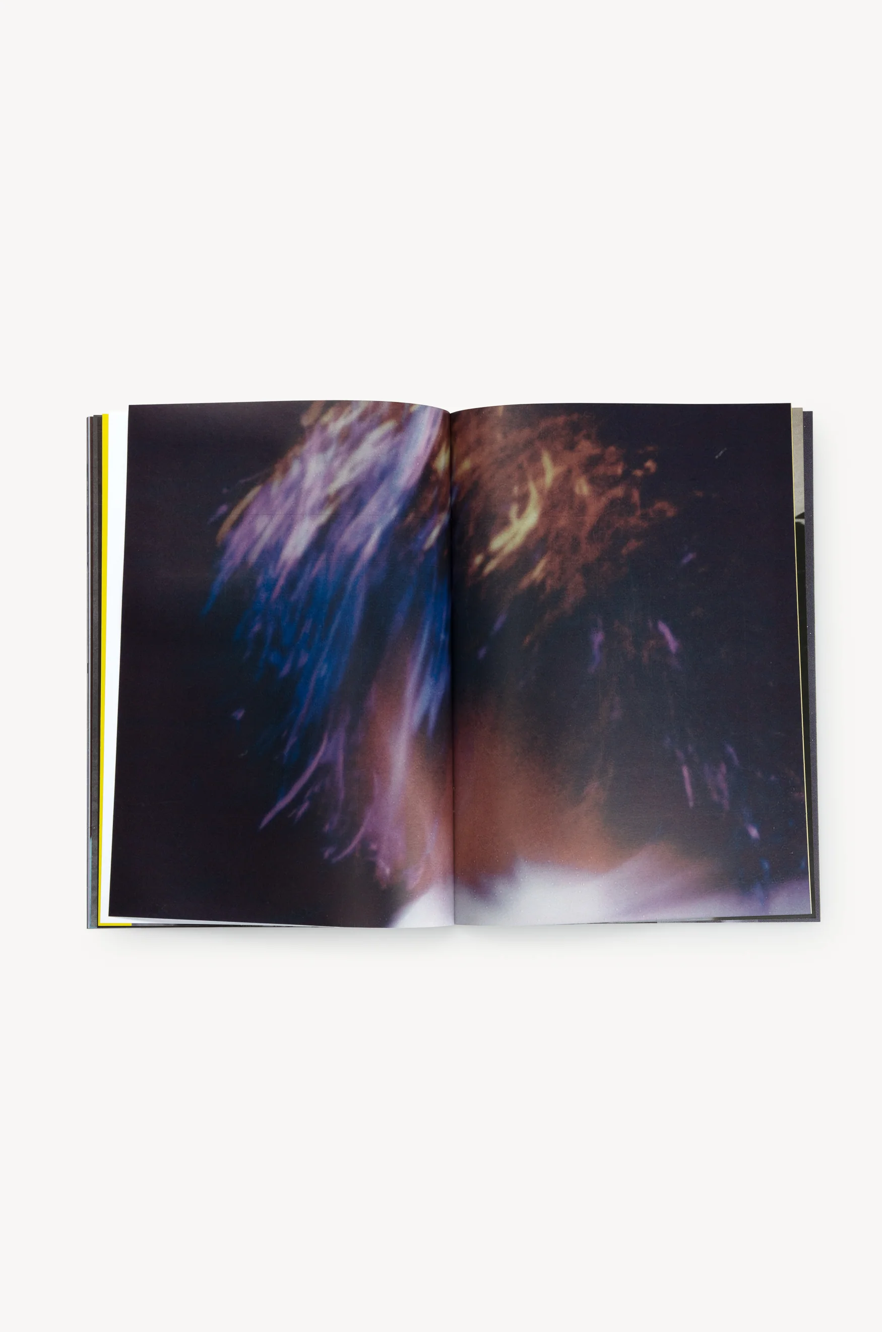 Butterfly Book - Image 25