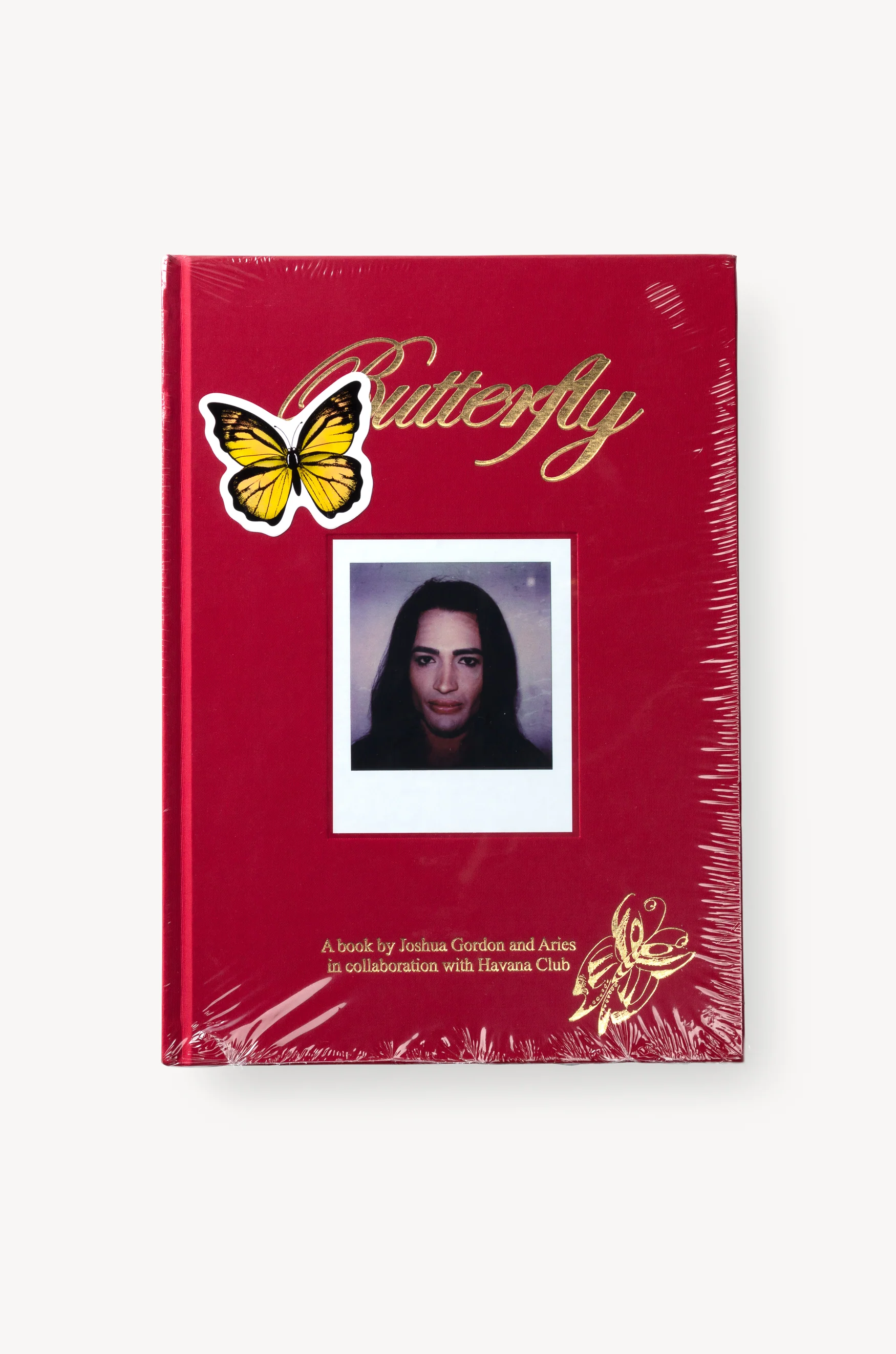 Butterfly Book - Image 3