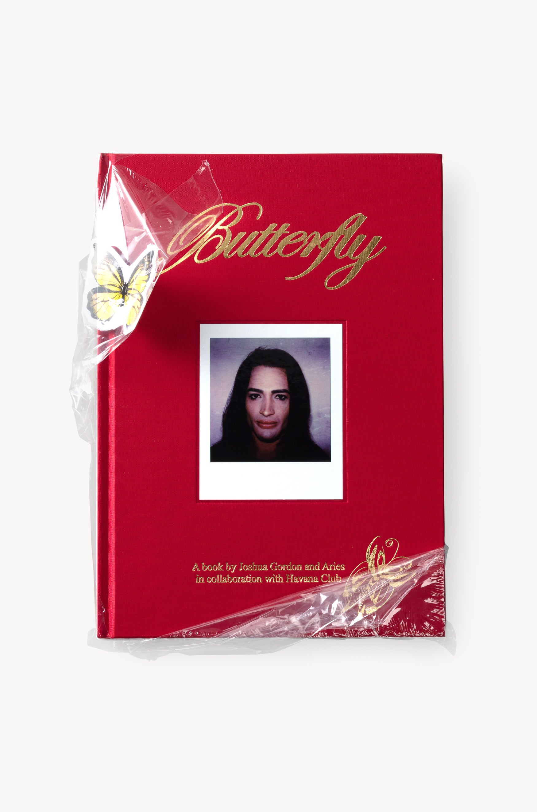 Butterfly Book - Image 4