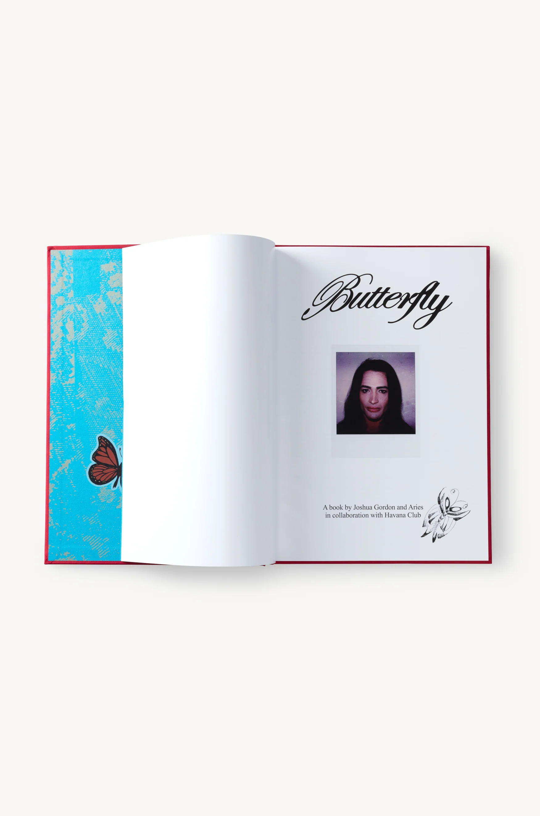 Butterfly Book - Image 5