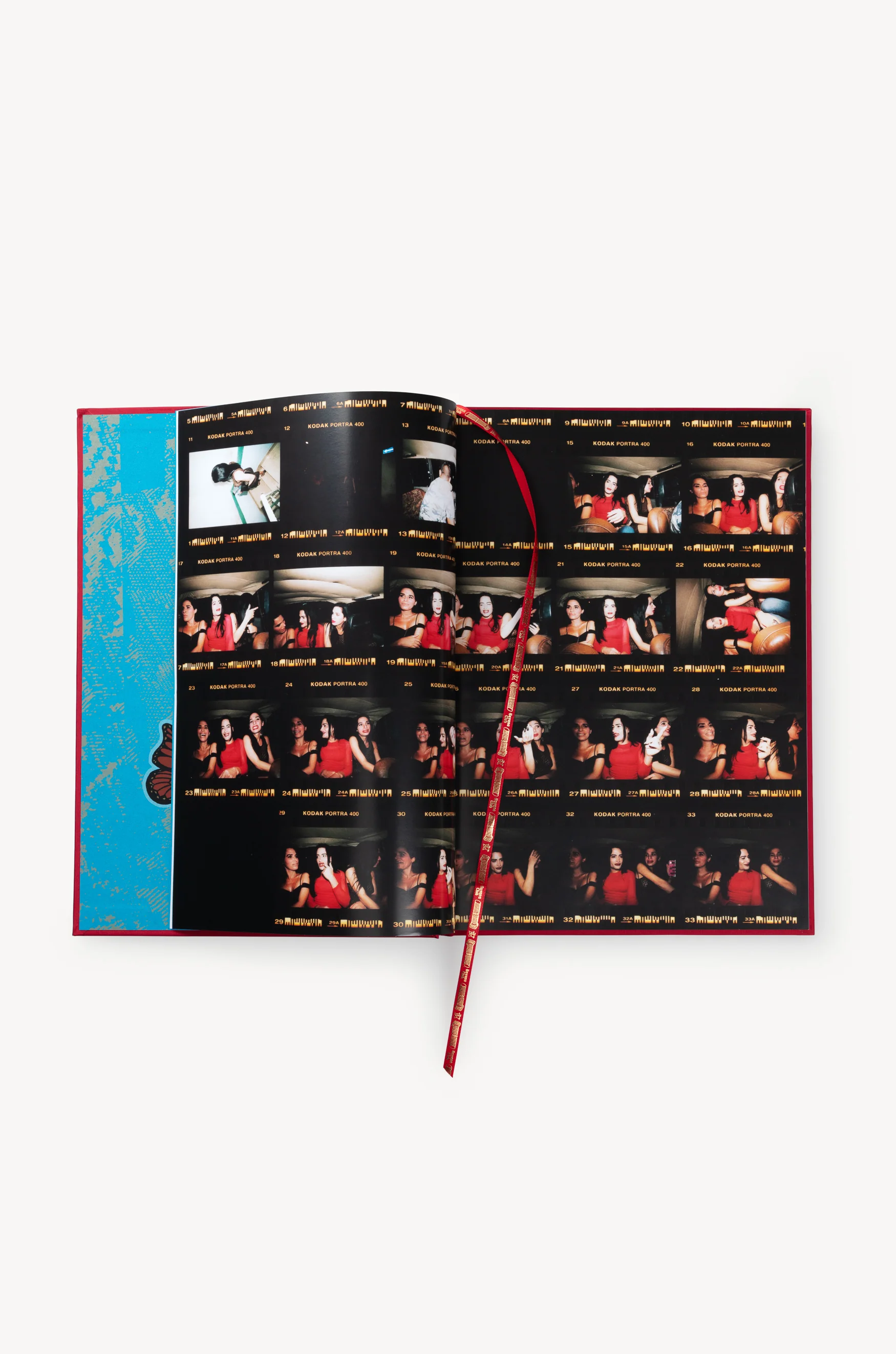 Butterfly Book - Image 6