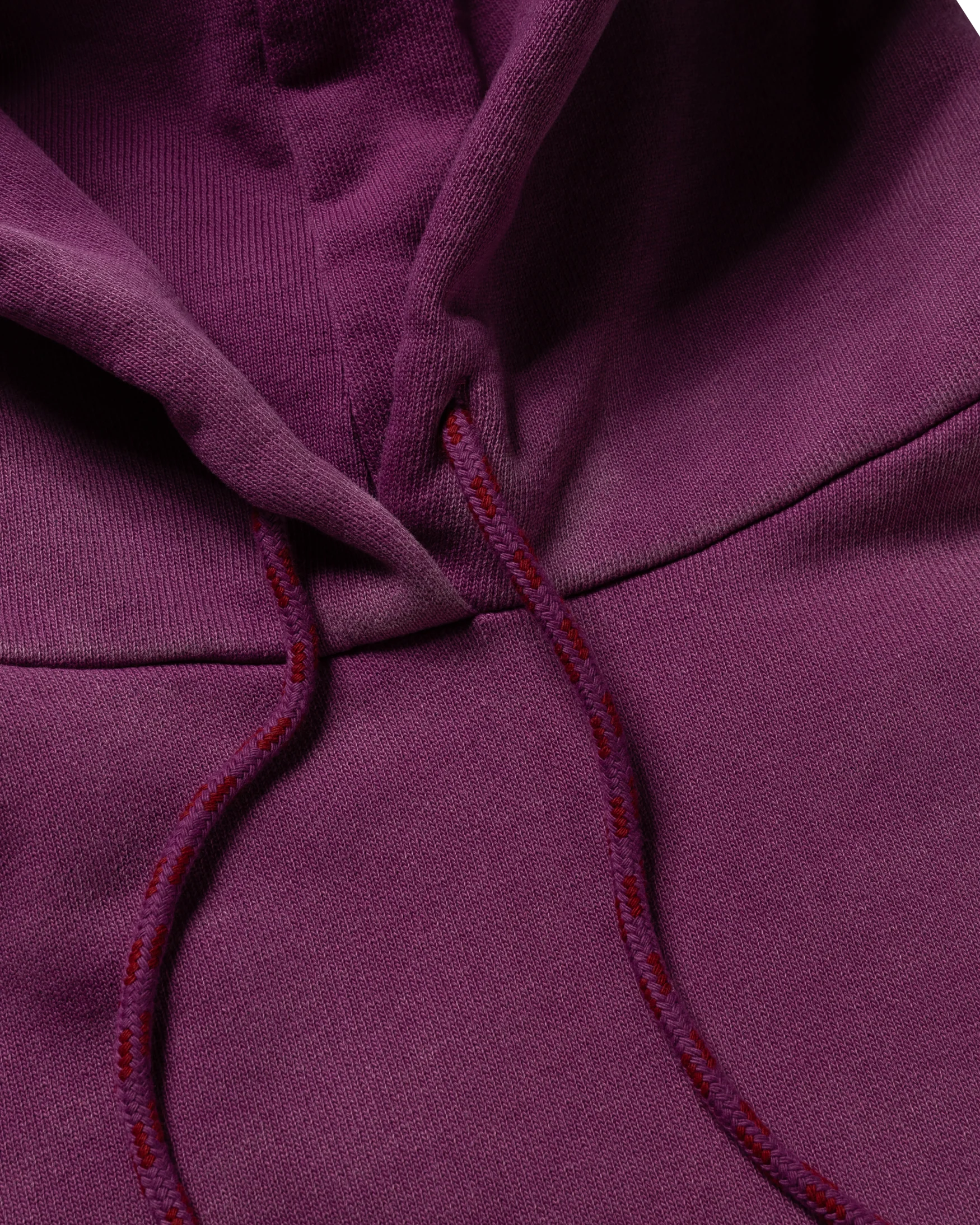 Premium Sunbleached Temple Hoodie - Image 4